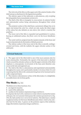 224    The lower limb


    The tuberosity of the tibia is at the upper end of the anterior border of the
shaft and gives attachment to the ligamentum patellae.
    The anterior aspect of this tuberosity is subcutaneous, only excepting
the infrapatellar bursa immediately in front of it.
    The shaft of the tibia is triangular in cross-section, its anterior border
and anteromedial surface being subcutaneous throughout their whole
extent.
    The posterior surface of the shaft bears a prominent oblique line at its
upper end termed the soleal line, which not only marks the tibial origin
of the soleus but also delimits an area above into which is inserted the
popliteus.
    The lower end of the tibia is expanded and quadrilateral in section,
bearing an additional surface, the ﬁbular notch, for the lower tibioﬁbular
joint.
    The medial malleolus projects from the medial extremity of the bone and
is grooved posteriorly by the tendon of tibialis posterior.
    The inferior surface of the lower end of the tibia is smooth, cartilage-
covered and forms, with the malleoli, the upper articular surface of the
ankle joint.



 Clinical features

1◊◊The upper end of the tibial shaft is one of the most common sites for
acute osteomyelitis. Fortunately, the capsule of the knee joint is attached
closely around the articular surfaces so that the upper extremity of the tibial
diaphysis is extracapsular; involvement of the knee joint therefore only
occurs in the late and neglected case.
2◊◊The shaft of the tibia is subcutaneous and unprotected anteromedially
throughout its course and is particularly slender in its lower third. It is not
surprising that the tibia is the commonest long bone to be fractured and to
suffer compound injury.
3◊◊The extensive subcutaneous surface of the tibia makes it a delightfully
accessible donor site for bone-grafts.


The ﬁbula (Fig. 166)
The ﬁbula serves three functions. It is:
1◊◊an origin for muscles;
2◊◊a part of the ankle joint;
3◊◊a pulley for the tendons of peroneus longus and brevis.
It comprises the head with a styloid process (into which is inserted the tendon
of biceps), the neck (around which passes the common peroneal nerve; Fig.
155), the shaft and the lower end or lateral malleolus. The latter bears a medial
roughened surface for the lower tibioﬁbular joint, below which is the artic-
ular facet for the talus. A groove on the posterior aspect of the malleolus
lodges the tendons of peroneus longus and brevis.
 