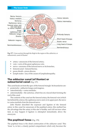 242     The lower limb




Fig. 177◊Cross-section through the thigh in the region of the adductor, or
subsartorial, canal of Hunter.



   •◊◊artery—aneurysm of the femoral artery;
   •◊◊vein—varix of the great saphenous vein;
   •◊◊nerve—neuroma of the femoral nerve or its branches;
   •◊◊femoral canal—femoral hernia;
   •◊◊psoas sheath—psoas abscess;
   •◊◊lymph nodes—any of the causes of lymphadenopathy.


The adductor canal (of Hunter) or
subsartorial canal (Fig. 177)
This canal leads on from the apex of the femoral triangle. Its boundaries are:
•◊◊posteriorly—adductor longus and magnus;
•◊◊anterolaterally—vastus medialis;
•◊◊anteromedially— the sartorius, which lies on a fascial sheet forming the
roof of the canal.
     The contents of the canal are the femoral artery, the femoral vein (which
lies behind the artery), the saphenous nerve and, in its upper part, the nerve
to vastus medialis from the femoral nerve.
     John Hunter described the exposure and ligation of the femoral
artery in this canal for aneurysm of the popliteal artery; this method has
the advantage that the artery at this site is healthy and will not tear when
tied, as may happen if ligation is attempted immediately above the
aneurysm.


The popliteal fossa (Fig. 178)
The popliteal fossa is the distal continuation of the adductor canal. This
‘fossa’ is, in fact, a closely packed compartment which only becomes the
 