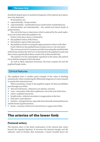 244    The lower limb


rhomboid-shaped space of anatomical diagrams when opened up at opera-
tion or by dissection.
    Its boundaries are:
•◊◊superolaterally—biceps tendon;
•◊◊superomedially—semimembranosus reinforced by semitendinosus;
•◊◊inferomedially and inferolaterally — the medial and lateral heads of
gastrocnemius.
    The roof of the fossa is deep fascia which is pierced by the small saphe-
nous vein as this enters the popliteal vein.
    Its ﬂoor, from above down, is formed by:
•◊◊the popliteal surface of the femur;
•◊◊the posterior aspect of the knee joint;
•◊◊the popliteus muscle covering the upper posterior surface of the tibia.
    From without in, the popliteal fossa contains nerves, vein and artery.
    The common peroneal nerve passes out of the fossa along the medial border
of the biceps tendon; the tibial nerve is ﬁrst lateral to the popliteal vessels and
then crosses superﬁcially to these vessels to lie on their medial side.
    The popliteal vein lies immediately superﬁcial to the artery; the popliteal
artery itself lies deepest of all in the fossa.
    As well as these important structures, the fossa contains fat and the
popliteal lymph nodes.



 Clinical features

The popliteal fossa is another good example of the value of thinking
anatomically when considering the differential diagnosis of a mass situated
in a particular anatomical area.
    When examining a lump in the popliteal region, let these possibilities
pass through your mind:
•◊◊skin and soft tissues—sebaceous cyst, lipoma, sarcoma;
•◊◊vein—varicosities of the short saphenous vein in the roof of the fossa;
•◊◊artery—popliteal aneurysm;
•◊◊lymph nodes—infection secondary to suppuration in the foot;
•◊◊knee joint—joint effusion;
•◊◊tendons—enlarged bursae, especially those beneath semimembranosus
and the heads of gastrocnemius;
•◊◊bones—a tumour of the lower end of femur or upper end of tibia.




The arteries of the lower limb

Femoral artery
The femoral artery is the distal continuation of the external iliac artery
beyond the inguinal ligament. It traverses the femoral triangle and the
adductor canal of Hunter, then terminates a hand’s breadth above the
 