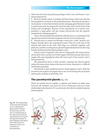 The thyroid gland        267


                               chain may be involved, producing changes in the voice and Horner’s syn-
                               drome respectively.
                               3◊◊We have already noted, in dealing with the fasciae of the neck, that the
                               thyroid gland is enclosed in the pretracheal fascia. This thyroid capsule is
                               much denser in front than behind and the enlarging gland therefore tends
                               to push backwards, burying itself round the sides and even the back of the
                               trachea and oesophagus. Because of the attachments of its fascial com-
                               partment, a large goitre will also extend downwards into the superior
                               mediastinum (‘plunging goitre’).
                                   Above, the pretracheal fascia blends with the larynx, accounting for the
                               upward movement of the thyroid gland with each act of swallowing.
                               4◊◊Thyroidectomy is carried out through a transverse ‘collar’ incision, two
                               ﬁngers’ breadth above the suprasternal notch. This lies in the line of the
                               natural skin folds of the neck. Skin ﬂaps are reﬂected, together with
                               platysma, and the investing fascia opened longitudinally between the strap
                               muscles and between the anterior jugular veins.
                                   If more room is required in the case of a large goitre, the strap muscles
                               are divided; this is carried out at their upper extremity because their nerve
                               supply (the ansa hypoglossi) enters the lower part of the muscles and is
                               hence preserved.
                                   The pretracheal fascia is then divided, exposing the thyroid gland;
                               unless this tissue plane deep to the fascia is found, dissection is a difﬁcult
                               and bloody procedure.
                                   The thyroid is then mobilized and its vessels ligated seriatim. Both the
                               recurrent and superior laryngeal nerves are at risk during this procedure
                               and must be carefully avoided (Fig. 191).


                               The parathyroid glands (Fig. 192)
                               These are usually four in number, a superior and inferior on either side;
                               however, the numbers vary from two to six. Ninety per cent are in close
                               relationship to the thyroid, 10% are aberrant, the latter invariably being the
                               inferior glands.




Fig. 191◊The relationship
of the recurrent laryngeal
nerve to the thyroid
gland and the inferior
thyroid artery. (a) The
nerve is usually deep to
the artery but (b) may be
superﬁcial to it or (c) pass
through its branches. In
these diagrams the lateral
lobe of the thyroid is
pulled forwards, as it
would be in a
thyroidectomy.
 