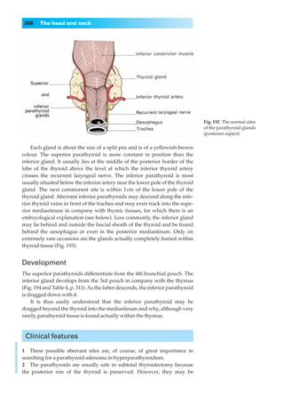 268    The head and neck




                                                                                   Fig. 192◊The normal sites
                                                                                   of the parathyroid glands
                                                                                   (posterior aspect).


    Each gland is about the size of a split pea and is of a yellowish-brown
colour. The superior parathyroid is more constant in position than the
inferior gland. It usually lies at the middle of the posterior border of the
lobe of the thyroid above the level at which the inferior thyroid artery
crosses the recurrent laryngeal nerve. The inferior parathyroid is most
usually situated below the inferior artery near the lower pole of the thyroid
gland. The next commonest site is within 1 cm of the lower pole of the
thyroid gland. Aberrant inferior parathyroids may descend along the infe-
rior thyroid veins in front of the trachea and may even track into the supe-
rior mediastinum in company with thymic tissues, for which there is an
embryological explanation (see below). Less commonly, the inferior gland
may lie behind and outside the fascial sheath of the thyroid and be found
behind the oesophagus or even in the posterior mediastinum. Only on
extremely rare occasions are the glands actually completely buried within
thyroid tissue (Fig. 193).


Development
The superior parathyroids differentiate from the 4th branchial pouch. The
inferior gland develops from the 3rd pouch in company with the thymus
(Fig. 194 and Table 4, p. 311). As the latter descends, the inferior parathyroid
is dragged down with it.
    It is thus easily understood that the inferior parathyroid may be
dragged beyond the thyroid into the mediastinum and why, although very
rarely, parathyroid tissue is found actually within the thymus.



 Clinical features

1◊◊These possible aberrant sites are, of course, of great importance in
searching for a parathyroid adenoma in hyperparathyroidism.
2◊◊The parathyroids are usually safe in subtotal thyroidectomy because
the posterior rim of the thyroid is preserved. However, they may be
 