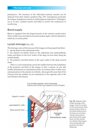 274    The head and neck


palatoglossus. The functions of the individual extrinsic muscles can be
deduced from their relative positions (Fig. 197). Genioglossus protrudes
the tongue, styloglossus retracts it and hyoglossus depresses it. Palatoglos-
sus is, in fact, a palatal muscle and helps to narrow the oropharynx in
swallowing.


Blood supply
Blood is supplied from the lingual branch of the external carotid artery.
There is little cross-circulation across the median raphe, which is therefore a
relatively avascular plane.


Lymph drainage (Fig. 198)
The drainage zones of the mucosa of the tongue can be grouped into three:
1◊◊the tip drains to the submental nodes;
2◊◊the anterior two-thirds drains to the submental and submandibular
nodes and thence to the lower nodes of the deep cervical chain along the
carotid sheath;
3◊◊the posterior one-third drains to the upper nodes of the deep cervical
chain.
    There is a rich anastomosis across the midline between the lymphatics
of the posterior one-third of the tongue so that a tumour on one side
readily metastasizes to contralateral nodes. In contrast, there is little cross-
communication in the anterior two-thirds, where growths more than 0.5in
(12mm) from the midline do not metastasize to the opposite side of the
neck till late in the disease.




                                                                                   Fig. 198◊Diagram of the
                                                                                   lymph drainage of the
                                                                                   tongue. Note two points.
                                                                                   (i) The anterior part of the
                                                                                   tongue tends to drain to
                                                                                   the nodes farthest down
                                                                                   the deep cervical chain,
                                                                                   whereas the posterior
                                                                                   part drains to the upper
                                                                                   chain. (ii) The anterior
                                                                                   two-thirds of the tongue
                                                                                   drain unilaterally, the
                                                                                   posterior one-third
                                                                                   bilaterally.
 