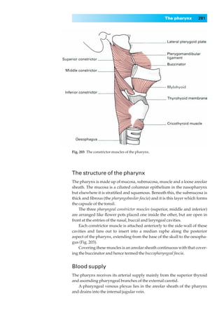 The pharynx        281




Fig. 203◊The constrictor muscles of the pharynx.




The structure of the pharynx
The pharynx is made up of mucosa, submucosa, muscle and a loose areolar
sheath. The mucosa is a ciliated columnar epithelium in the nasopharynx
but elsewhere it is stratiﬁed and squamous. Beneath this, the submucosa is
thick and ﬁbrous (the pharyngobasilar fascia) and it is this layer which forms
the capsule of the tonsil.
    The three pharyngeal constrictor muscles (superior, middle and inferior)
are arranged like ﬂower pots placed one inside the other, but are open in
front at the entries of the nasal, buccal and laryngeal cavities.
    Each constrictor muscle is attached anteriorly to the side-wall of these
cavities and fans out to insert into a median raphe along the posterior
aspect of the pharynx, extending from the base of the skull to the oesopha-
gus (Fig. 203).
    Covering these muscles is an areolar sheath continuous with that cover-
ing the buccinator and hence termed the buccopharyngeal fascia.


Blood supply
The pharynx receives its arterial supply mainly from the superior thyroid
and ascending pharyngeal branches of the external carotid.
   A pharyngeal venous plexus lies in the areolar sheath of the pharynx
and drains into the internal jugular vein.
 