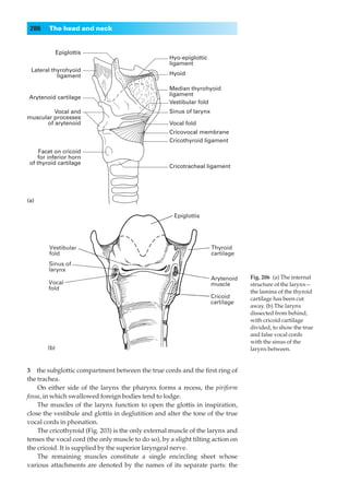 286     The head and neck


              Epiglottis
                                                     Hyo-epiglottic
                                                     ligament
 Lateral thyrohyoid
           ligament                                  Hyoid

                                                     Median thyrohyoid
                                                     ligament
Arytenoid cartilage
                                                     Vestibular fold
         Vocal and                                   Sinus of larynx
muscular processes
      of arytenoid                                   Vocal fold
                                                     Cricovocal membrane
                                                     Cricothyroid ligament
     Facet on cricoid
     for inferior horn
 of thyroid cartilage
                                                     Cricotracheal ligament




(a)




                                                                                  Fig. 206◊(a) The internal
                                                                                  structure of the larynx—
                                                                                  the lamina of the thyroid
                                                                                  cartilage has been cut
                                                                                  away. (b) The larynx
                                                                                  dissected from behind,
                                                                                  with cricoid cartilage
                                                                                  divided, to show the true
                                                                                  and false vocal cords
                                                                                  with the sinus of the
        (b)                                                                       larynx between.


3◊◊the subglottic compartment between the true cords and the ﬁrst ring of
the trachea.
    On either side of the larynx the pharynx forms a recess, the piriform
fossa, in which swallowed foreign bodies tend to lodge.
    The muscles of the larynx function to open the glottis in inspiration,
close the vestibule and glottis in deglutition and alter the tone of the true
vocal cords in phonation.
    The cricothyroid (Fig. 203) is the only external muscle of the larynx and
tenses the vocal cord (the only muscle to do so), by a slight tilting action on
the cricoid. It is supplied by the superior laryngeal nerve.
    The remaining muscles constitute a single encircling sheet whose
various attachments are denoted by the names of its separate parts: the
 