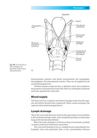 The larynx       287




Fig. 206◊(Continued). (c)
The cartilages and
ligaments of the larynx
seen posteriorly.           (c)




                            thyroarytenoid, posterior and lateral cricoarytenoid, the aryepiglottic,
                            thyroepiglottic and interarytenoid muscles. These are all supplied by the
                            recurrent laryngeal nerve.
                                All these muscles except one have a sphincter action; the exception is
                            the posterior cricoarytenoid on each side which, by rotating the arytenoids
                            outwards, separates the vocal cords.


                            Blood supply
                            The larynx receives a superior and inferior laryngeal artery from the supe-
                            rior and inferior thyroid artery respectively. These vessels accompany the
                            superior and recurrent laryngeal nerves.


                            Lymph drainage
                            Above the vocal cords the larynx drains to the upper deep cervical and then
                            to the mediastinal lymph nodes, some lymphatics passing via small nodes
                            lying on the thyrohyoid membrane.
                                Below the cords, drainage is to the lower deep cervical nodes, partially
                            via nodes on the front of the larynx and trachea.
                                The vocal cords themselves act as a complete barrier separating the two
                            lymphatic areas, but posteriorly there is free communication between
 