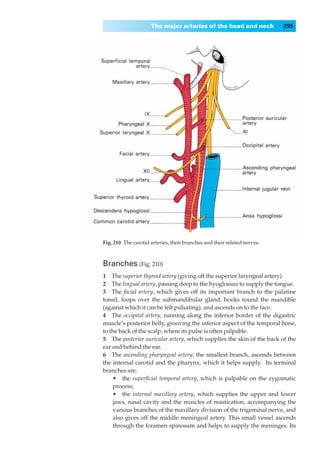 The major arteries of the head and neck              295




Fig. 210◊The carotid arteries, their branches and their related nerves.



Branches (Fig. 210)
1◊◊The superior thyroid artery (giving off the superior laryngeal artery).
2◊◊The lingual artery, passing deep to the hyoglossus to supply the tongue.
3◊◊The facial artery, which gives off its important branch to the palatine
tonsil, loops over the submandibular gland, hooks round the mandible
(against which it can be felt pulsating), and ascends on to the face.
4◊◊The occipital artery, running along the inferior border of the digastric
muscle’s posterior belly, grooving the inferior aspect of the temporal bone,
to the back of the scalp, where its pulse is often palpable.
5◊◊The posterior auricular artery, which supplies the skin of the back of the
ear and behind the ear.
6◊◊The ascending pharyngeal artery, the smallest branch, ascends between
the internal carotid and the pharynx, which it helps supply. Its terminal
branches are:
    •◊◊the superﬁcial temporal artery, which is palpable on the zygomatic
    process;
    •◊◊the internal maxillary artery, which supplies the upper and lower
    jaws, nasal cavity and the muscles of mastication, accompanying the
    various branches of the maxillary division of the trigeminal nerve, and
    also gives off the middle meningeal artery. This small vessel ascends
    through the foramen spinosum and helps to supply the meninges. Its
 