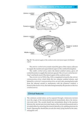 The major arteries of the head and neck                         297




Fig. 211◊The arterial supply of the cerebral cortex. (a) Lateral aspect. (b) Medial
aspect.


    The anterior cerebral artery winds round the genu of the corpus callosum
to supply the medial and superolateral aspect of the cerebral hemisphere.
    The middle cerebral artery enters the lateral cerebral sulcus, gives off
central branches to supply the internal capsule (‘the artery of cerebral haemor-
rhage’) and feeds most of the lateral aspect of the cerebral cortex.
    The arterial circle of Willis (Fig. 212) is completed in front by the anterior
communicating artery, which links the two anterior cerebral arteries, and
behind by a posterior communicating artery on each side, passing backwards
from the internal carotid to anastomose with the posterior cerebral, a
branch of the basilar artery, the latter being formed by the junction of the two
vertebral arteries.



 Clinical features

The common carotid artery can be exposed through a transverse incision
over the origin of the sternocleidomastoid immediately above the sterno-
clavicular joint. The carotid sheath lies immediately deep to the junction
between the sternal and clavicular heads of the sternocleidomastoid and is
revealed either by retracting this muscle laterally or by splitting between its
heads. Opening the sheath then reveals the artery lying medial to the inter-
nal jugular vein.
 