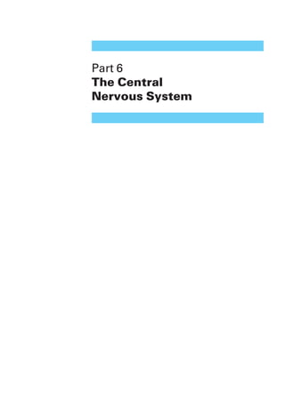 Part 6
The Central
Nervous System
 