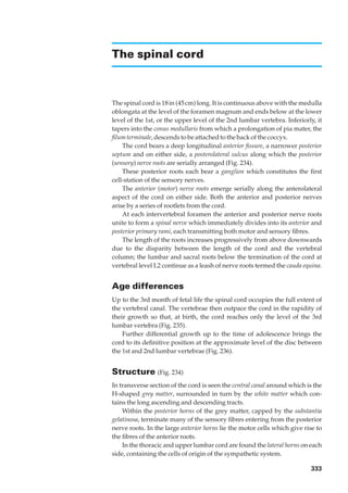 The spinal cord



The spinal cord is 18 in (45 cm) long. It is continuous above with the medulla
oblongata at the level of the foramen magnum and ends below at the lower
level of the 1st, or the upper level of the 2nd lumbar vertebra. Inferiorly, it
tapers into the conus medullaris from which a prolongation of pia mater, the
ﬁlum terminale, descends to be attached to the back of the coccyx.
    The cord bears a deep longitudinal anterior ﬁssure, a narrower posterior
septum and on either side, a posterolateral sulcus along which the posterior
(sensory) nerve roots are serially arranged (Fig. 234).
    These posterior roots each bear a ganglion which constitutes the ﬁrst
cell-station of the sensory nerves.
    The anterior (motor) nerve roots emerge serially along the anterolateral
aspect of the cord on either side. Both the anterior and posterior nerves
arise by a series of rootlets from the cord.
    At each intervertebral foramen the anterior and posterior nerve roots
unite to form a spinal nerve which immediately divides into its anterior and
posterior primary rami, each transmitting both motor and sensory ﬁbres.
    The length of the roots increases progressively from above downwards
due to the disparity between the length of the cord and the vertebral
column; the lumbar and sacral roots below the termination of the cord at
vertebral level L2 continue as a leash of nerve roots termed the cauda equina.


Age differences
Up to the 3rd month of fetal life the spinal cord occupies the full extent of
the vertebral canal. The vertebrae then outpace the cord in the rapidity of
their growth so that, at birth, the cord reaches only the level of the 3rd
lumbar vertebra (Fig. 235).
    Further differential growth up to the time of adolescence brings the
cord to its deﬁnitive position at the approximate level of the disc between
the 1st and 2nd lumbar vertebrae (Fig. 236).


Structure (Fig. 234)
In transverse section of the cord is seen the central canal around which is the
H-shaped grey matter, surrounded in turn by the white matter which con-
tains the long ascending and descending tracts.
    Within the posterior horns of the grey matter, capped by the substantia
gelatinosa, terminate many of the sensory ﬁbres entering from the posterior
nerve roots. In the large anterior horns lie the motor cells which give rise to
the ﬁbres of the anterior roots.
    In the thoracic and upper lumbar cord are found the lateral horns on each
side, containing the cells of origin of the sympathetic system.

                                                                          333
 