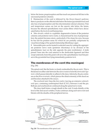 The spinal cord        337


below the lesion; proprioception and ﬁne touch are preserved till late in the
uncrossed posterior columns.
3◊◊Hemisection of the cord is followed by the Brown-Séquard syndrome;
there is paralysis on the affected side below the lesion (pyramidal tract) and
also loss of proprioception and ﬁne discrimination (dorsal columns). Pain
and temperature senses are lost on the opposite side below the lesion,
because the affected spinothalamic tract carries ﬁbres which have decus-
sated below the level of cord hemisection.
4◊◊Tabes dorsalis, which is a syphilitic degenerative lesion of the posterior
columns and posterior nerve roots, is characterized by loss of propriocep-
tion; the patient becomes ataxic, particularly if he closes his eyes, because
he has lost his position sense for which he can partially compensate by
visual knowledge of his spatial relationship (Romberg’s sign).
5◊◊Intractable pain can be treated in selected cases by cutting the appropri-
ate posterior nerve roots (posterior rhizotomy) or by division of the
spinothalamic tract on the side opposite the pain (cordotomy). A knife
passed 3 mm into the cord anterior to the denticulate ligament and then
swept anteriorly from this point will sever the spinothalamic tract but pre-
serve the pyramidal tract lying immediately posterior to it.


The membranes of the cord (the meninges)
(Fig. 238)

The spinal cord, like the brain, is closely ensheathed by the pia mater. This is
thickened on either side between the nerve roots to form the denticulate liga-
ment, which passes laterally to adhere to the dura. Inferiorly, the pia contin-
ues as the ﬁlum terminale, which pierces the distal extremity of the dural sac
and becomes attached to the coccyx.
    The arachnoid mater lines the dura matter, leaving an extensive subarach-
noid space, containing cerebrospinal ﬂuid (C.S.F.), between it and the pia.
Both pia and arachnoid are continued along the spinal nerve roots.
    The dura itself forms a tough sheath to the cord. It ends distally at the
level of the 2nd sacral vertebra. It also continues along each nerve root and
blends with the sheaths of the peripheral nerves.




Fig. 238◊The membranes of the spinal cord.
 