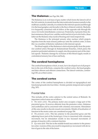 The brain       349



The thalamus (see Figs 246, 248)
The thalamus is an oval mass of grey matter which forms the lateral wall of
the 3rd ventricle; it extends from the interventricular foramen rostrally to the
midbrain caudally. Laterally, it is related to the internal capsule (and through
it to the basal ganglia), and dorsally to the ﬂoor of lateral ventricle. Medially,
it is frequently connected with its fellow of the opposite side through the
massa intermedia (interthalamic connexus). Posteriorly, it presents three dis-
tinct eminences, the pulvinar, and the medial and lateral geniculate bodies, these
latter are the thalamic relay nuclei of hearing and vision respectively.
     The thalamus is the principal sensory relay nucleus which projects
impulses from the main sensory pathways onto the cerebral cortex. It does
this via a number of thalamic radiations in the internal capsule.
     The blood supply of the thalamus is derived principally from the poste-
rior cerebral artery through its thalamostriate branches, which pierce the
posterior perforated substance to supply also the posterior part of the inter-
nal capsule. Thalamic damage by occlusion of this blood supply results in
contralateral sensory loss of face and body.


The cerebral hemispheres
The cerebral hemispheres which, in man, have developed out of all propor-
tion to the rest of the brain, comprise the cerebral cortex, the basal ganglia,
and their afferent and efferent connections. The lateral ventricles, contain-
ing CSF, are at their centre.


The cerebral cortex
The cortex of the cerebral hemispheres is divided on topographical and
functional grounds into four lobes—frontal, parietal, temporal and occipital
(Fig. 247).


Frontal lobe
This includes all the cortex anterior to the central sulcus of Rolando. Its
important cortical areas are as follows:
1◊◊The motor cortex. The primary motor area occupies a large part of the
precentral gyrus. It receives afferents from the premotor cortex, thalamus
and cerebellum and is concerned with voluntary movements. Stimulation
of this area results in discrete muscle movements. Details of localisation of
function in the motor cortex are considered on page 356.
2◊◊The premotor cortex. This lies anterior to the precentral gyrus and the
adjoining lower part of the frontal gyri. It too is concerned with voluntary
movement, but its stimulation results in less focussed movements of
groups of muscles with a common function.
3◊◊Eye motor ﬁeld. This lies in the middle frontal area anterior to the premo-
tor cortex. Lesions of this area result in impaired eye movement with devia-
tion of gaze to the side of the lesion.
 