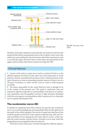 366    The central nervous system




                                                                                    Fig. 255◊The layers of the
                                                                                    retina.


the ﬁbres of the optic radiation sweep laterally, and some forwards into the
temporal lobe before passing backwards to the occipital visual cortex (the
striate area surrounding the calcarine ﬁssure) where they terminate in such
a way that the upper and lower halves of the retina are represented on the
upper and lower lips of the ﬁssure respectively (Figs 247, 256).



 Clinical features

1◊◊Lesions of the retina or optic nerve result in ipsilateral blindness in the
affected segment, but lesions of the optic tract and central parts of visual
pathway result in contralateral homonymous defects. Similarly, lesions of the
optic chiasma (e.g. from an expanding pituitary tumour) will give rise to a
bitemporal hemianopia, i.e. there will be a loss of vision in both temporal
eye-ﬁelds.
2◊◊The lesion responsible for the Argyll Robertson pupil is thought to be
in the vicinity of the pretectal area. The pupil is constricted, does not
respond to light but responds to accommodation, but there is no satisfac-
tory explanation why the pupillary reaction to light should be abolished
while the convergence–accommodation reﬂex is preserved. It is classically
seen in syphilis affecting the CNS.


The oculomotor nerve (III)
In addition to supplying most of the extrinsic eye muscles, the oculomotor
nerve conveys the preganglionic parasympathetic ﬁbres for the sphincter of
the pupil via the ciliary ganglion. Its nucleus of origin lies in the ﬂoor of the
cerebral aqueduct at the level of the superior colliculus (Fig. 245) and con-
sists essentially of two components: the somatic efferent nucleus, which sup-
plies the ocular muscles, and the Edinger–Westphal nucleus from which the
preganglionic parasympathetic ﬁbres are derived.
    From these nuclei, ﬁbres pass vertically through the midbrain tegmen-
 
