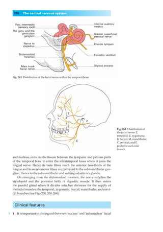376     The central nervous system




Fig. 263◊Distribution of the facial nerve within the temporal bone.




                                                                                Fig. 264◊Distribution of
                                                                                the facial nerve: T,
                                                                                temporal; Z, zygomatic;
                                                                                B, buccal; M, mandibular;
                                                                                C, cervical; and P,
                                                                                posterior auricular
                                                                                branch.

and malleus, exits via the ﬁssure between the tympanic and petrous parts
of the temporal bone to enter the infratemporal fossa where it joins the
lingual nerve. Hence its taste ﬁbres reach the anterior two-thirds of the
tongue and its secretomotor ﬁbres are conveyed to the submandibular gan-
glion, thence to the submandibular and sublingual salivary glands.
    On emerging from the stylomastoid foramen, the nerve supplies the
stylohyoid and the posterior belly of digastric muscle. It then enters
the parotid gland where it divides into ﬁve divisions for the supply of
the facial muscles: the temporal, zygomatic, buccal, mandibular, and cervi-
cal branches (see Figs 208, 209, 264).



 Clinical features

1◊◊It is important to distinguish between ‘nuclear’ and ‘infranuclear’ facial
 