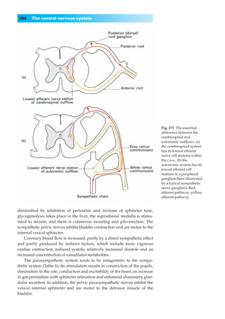 394    The central nervous system




                                                                                  Fig. 275◊The essential
                                                                                  difference between the
                                                                                  cerebrospinal and
                                                                                  autonomic outﬂows: (a)
                                                                                  the cerebrospinal system
                                                                                  has its lowest efferent
                                                                                  nerve cell stations within
                                                                                  the c.n.s.; (b) the
                                                                                  autonomic system has its
                                                                                  lowest efferent cell
                                                                                  stations in a peripheral
                                                                                  ganglion (here illustrated
                                                                                  by a typical sympathetic
                                                                                  nerve ganglion). Red,
                                                                                  afferent pathway; yellow,
                                                                                  efferent pathway.


diminished by inhibition of peristalsis and increase of sphincter tone,
glycogenolysis takes place in the liver, the supradrenal medulla is stimu-
lated to secrete, and there is cutaneous sweating and pilo-erection. The
sympathetic pelvic nerves inhibit bladder contraction and are motor to the
internal vesical sphincter.
    Coronary blood ﬂow is increased, partly by a direct sympathetic effect
and partly produced by indirect factors, which include more vigorous
cardiac contraction, reduced systole, relatively increased diastole and an
increased concentration of vasodilator metabolites.
    The parasympathetic system tends to be antagonistic to the sympa-
thetic system (Table 6). Its stimulation results in constriction of the pupils,
diminution in the rate, conduction and excitability of the heart, an increase
in gut peristalisis with sphincter relaxation and enhanced alimentary glan-
dular secretion. In addition, the pelvic parasympathetic nerves inhibit the
vesical internal sphincter and are motor to the detrusor muscle of the
bladder.
 