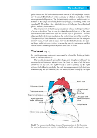 The mediastinum             29


great vessels and the base with the central tendon of the diaphragm. Anteri-
orly it is related to the body of the sternum, to which it is attached by the
sternopericardial ligament. The 3rd–6th costal cartilages and the anterior
borders of the lungs; posteriorly, to the oesophagus, descending aorta, and
vertebra T5–T8, and on either side to the roots of the lungs, the mediastinal
pleura and the phrenic nerves.
     The inner aspect of the ﬁbrous pericardium is lined by the parietal layer
of serous pericardium. This, in turn, is reﬂected around the roots of the great
vessels to become continuous with the visceral layer or epicardium. The lines
of pericardial reﬂexion are marked on the posterior surface of the heart (Fig.
23) by the oblique sinus, bounded by the inferior vena cava and the four pul-
monary veins, which form a recess between the left atrium and the peri-
cardium, and the transverse sinus between the superior vena cava and left
atrium behind and the pulmonary trunk and aorta in front.


The heart (Fig. 24)
Its great importance means no excuse need be offered for dealing with the
heart in considerable detail.
    The heart is irregularly conical in shape, and it is placed obliquely in
the middle mediastinum. Viewed from the front, portions of all the heart
chambers can be seen. The right border is formed entirely by the right
atrium, the left border partly by the auricular appendage of the left atrium
but mainly by the left ventricle, and the inferior border chieﬂy by the right




Fig. 23◊The transverse and oblique sinuses of the pericardium. In this illustration
the heart has been removed from the pericardial sac, which is seen in anterior view.
 