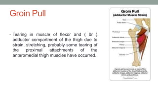 clinicalanatomy-170318191936-đã chuyển đổi.pptx