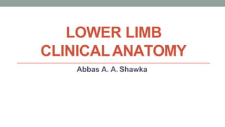 LOWER LIMB
CLINICALANATOMY
Abbas A. A. Shawka
 