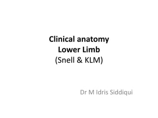 Clinical anatomy
Lower Limb
(Snell & KLM)
Dr M Idris Siddiqui
 