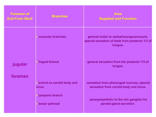 Foramen of
Exit From Skull
Branches
Area
Supplied and Function
jugular
foramen
muscular branches
lingual branch
branch to carotid body and
sinus
tympanic branch
lesser petrosal
general motor to stylopharyngeusmuscle,
special sensation of taste from posterior 1/3 of
tongue,
general sensation from the posterior 1/3 of
tongue,
sensation from pharyngeal mucosa, special
sensation from carotid body and sinus.
parasympathetic to the otic ganglion for
parotid gland secretion.
 