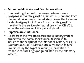 • Extra-cranial course and final innervations
• Upon exiting the skull, the lesser petrosal nerve
synapses in the otic ganglion, which is suspended from
the mandibular nerve immediately below the foramen
ovale. Postganglionic fibers from the otic ganglion
travel with the auriculotemporal branch of CN V3 to
enter the substance of the parotid gland.
• Hypothalamic Influence
• Fibers from the hypothalamus and olfactory system
project via the dorsal longitudinal fasciculus to
influence the output of the inferior salivatory nucleus.
Examples include: 1) dry mouth in response to fear
(mediated by the hypothalamus); 2) salivation in
response to smelling food (mediated by the olfactory
system)
 