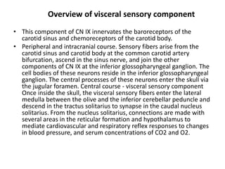 Overview of visceral sensory component
• This component of CN IX innervates the baroreceptors of the
carotid sinus and chemoreceptors of the carotid body.
• Peripheral and intracranial course. Sensory fibers arise from the
carotid sinus and carotid body at the common carotid artery
bifurcation, ascend in the sinus nerve, and join the other
components of CN IX at the inferior glossopharyngeal ganglion. The
cell bodies of these neurons reside in the inferior glossopharyngeal
ganglion. The central processes of these neurons enter the skull via
the jugular foramen. Central course - visceral sensory component
Once inside the skull, the visceral sensory fibers enter the lateral
medulla between the olive and the inferior cerebellar peduncle and
descend in the tractus solitarius to synapse in the caudal nucleus
solitarius. From the nucleus solitarius, connections are made with
several areas in the reticular formation and hypothalamus to
mediate cardiovascular and respiratory reflex responses to changes
in blood pressure, and serum concentrations of CO2 and O2.
 