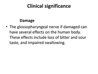 Clinical significance
Damage
• The glossopharyngeal nerve if damaged can
have several effects on the human body.
These effects include loss of bitter and sour
taste, and impaired swallowing.
 