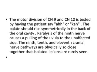 • The motor division of CN 9 and CN 10 is tested
by having the patient say "ahh" or "kah" . The
palate should rise symmetrically in the back of
the oral cavity . Paralysis of the ninth nerve
causes a pulling of the uvula to the unaffected
side. The ninth, tenth, and eleventh cranial
nerve pathways are physically so close
together that isolated lesions are rarely seen.
•
 
