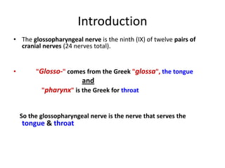 Introduction
• The glossopharyngeal nerve is the ninth (IX) of twelve pairs of
cranial nerves (24 nerves total).
• "Glosso-" comes from the Greek "glossa", the tongue
and
"pharynx" is the Greek for throat
So the glossopharyngeal nerve is the nerve that serves the
tongue & throat
 