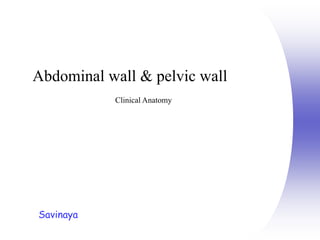 Savinaya
Abdominal wall & pelvic wall
Clinical Anatomy
 