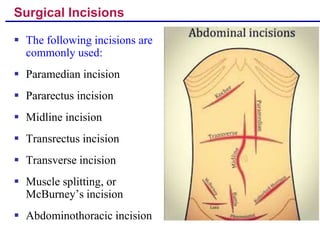 Clinical anatomy of abdominal wall and pelvic wall | PPT