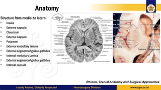 Clinical Anatomy of Basal Nuclei - Daniel Kusuma.pptx