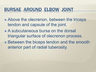BURSAE AROUND ELBOW JOINT
 Above the olecrenon, between the triceps
tendon and capsule of the joint.
 A subcutaneous bur...
