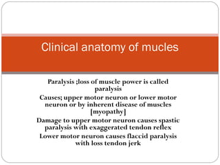 Clinical anatomy of mucles
Paralysis ;loss of muscle power is called
paralysis
Causes; upper motor neuron or lower motor
neuron or by inherent disease of muscles
[myopathy]
Damage to upper motor neuron causes spastic
paralysis with exaggerated tendon reflex
Lower motor neuron causes flaccid paralysis
with loss tendon jerk

 
