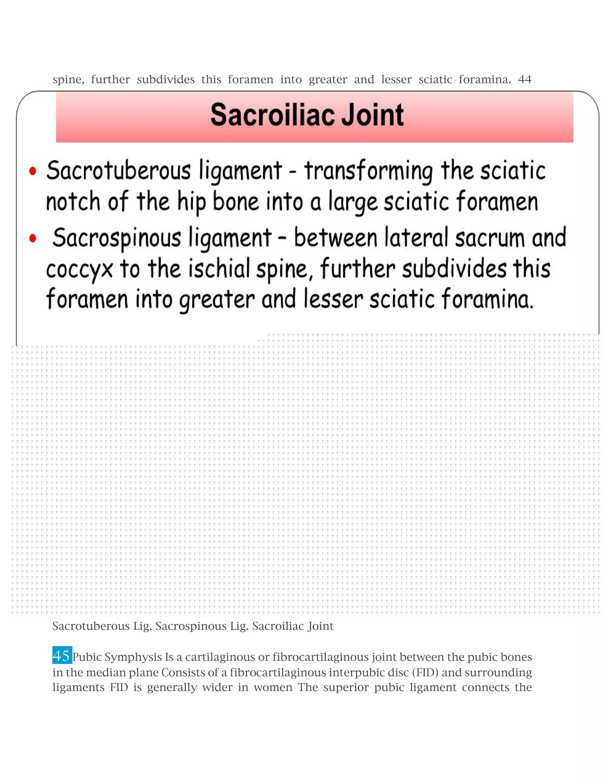 Clinical anatomy of pelvis bones and joints associate professor dr. a ...