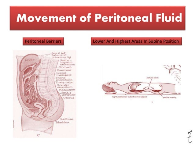 Clinical anatomy of peritoneum