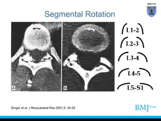 Clinical anatomy of the back | PPT