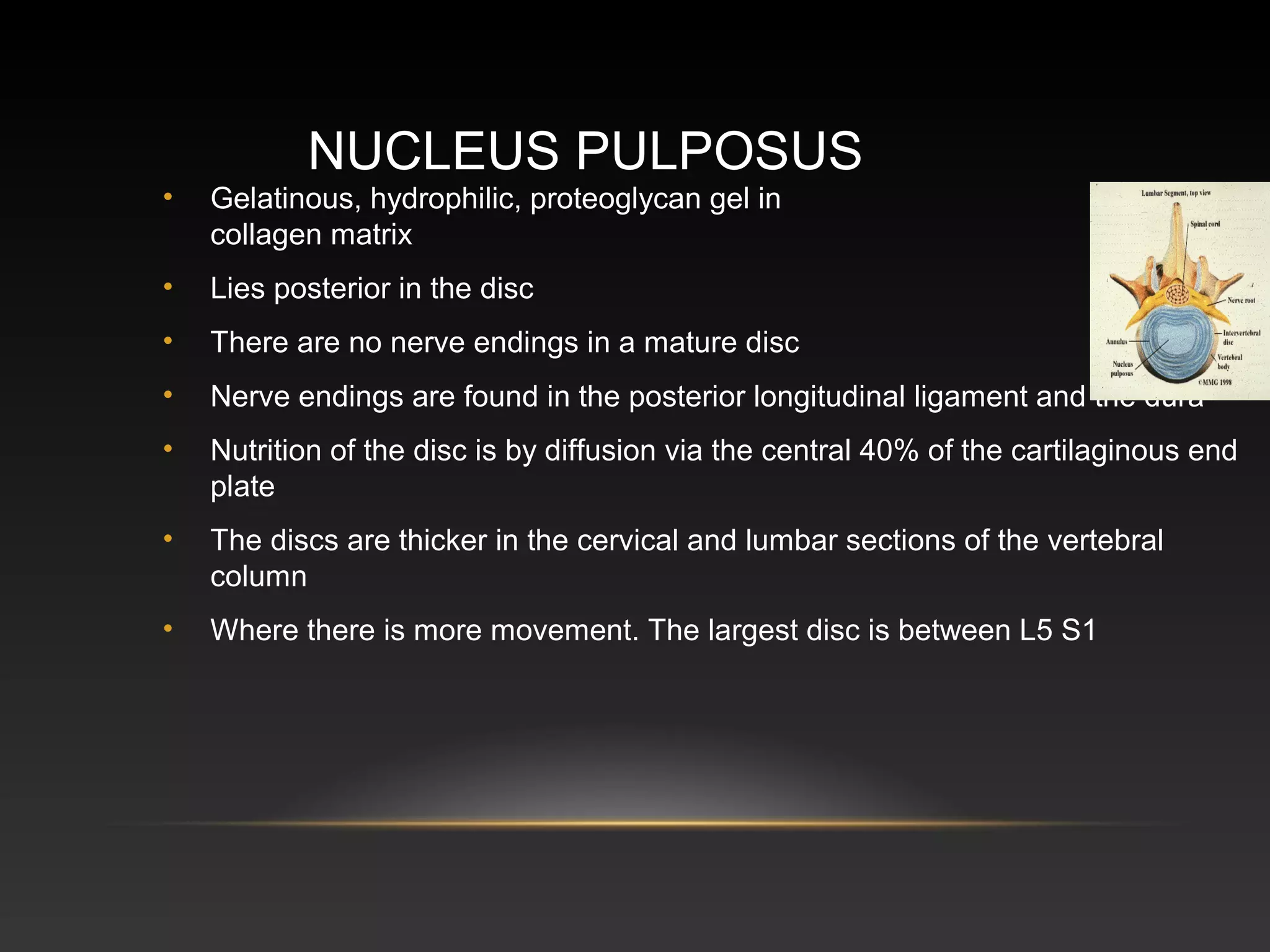 Pulpus Clinical anatomy of_the_back by- dr. armaan singh | PPT