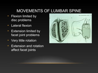 Clinical anatomy of_the_back by- dr. armaan singh | PPT