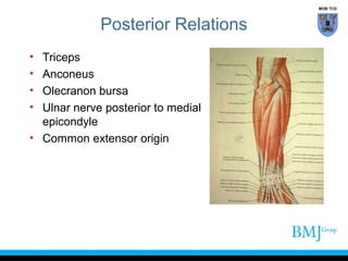 Clinical anatomy of the elbow | PPT