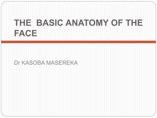 THE BASIC ANATOMY OF THE
FACE
Dr KASOBA MASEREKA
 