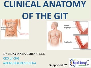 Dr. NDAYISABA CORNEILLE
CEO of CHG
MBChB,DCM,BCSIT,CCNA
Supported BY
CLINICAL ANATOMY
OF THE GIT
 