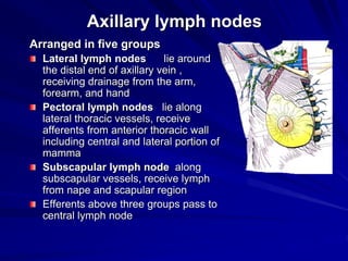 Clinical Anatomy of The Upper Limb 2017 NEW.ppt