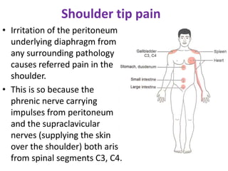 Shoulder tip pain
• Irritation of the peritoneum
underlying diaphragm from
any surrounding pathology
causes referred pain in the
shoulder.
• This is so because the
phrenic nerve carrying
impulses from peritoneum
and the supraclavicular
nerves (supplying the skin
over the shoulder) both arise
from spinal segments C3, C4.
 