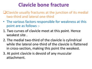 Clavicle bone fracture
Clavicle usually fractures at the junction of its medial
two-third and lateral one-third
• The various factors responsible for weakness at this
point are as follows :-
1. Two curves of clavicle meet at this point. Hence
weakest site .
2. The medial two-third of the clavicle is cylindrical
while the lateral one-third of the clavicle is flattened
in cross-section, making this point the weakest.
3. At point clavicle is devoid of any muscular
attachment.
 