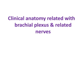 Clinical anatomy related with
brachial plexus & related
nerves
 