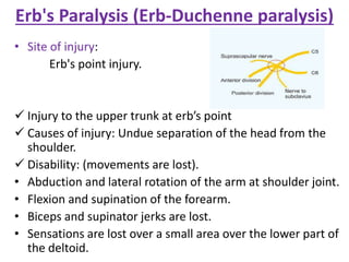 Erb's Paralysis (Erb-Duchenne paralysis)
• Site of injury:
Erb's point injury.
 Injury to the upper trunk at erb’s point
 Causes of injury: Undue separation of the head from the
shoulder.
 Disability: (movements are lost).
• Abduction and lateral rotation of the arm at shoulder joint.
• Flexion and supination of the forearm.
• Biceps and supinator jerks are lost.
• Sensations are lost over a small area over the lower part of
the deltoid.
 