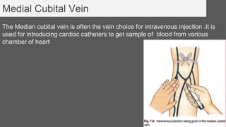 Medial Cubital Vein Muscle :-
The Median cubital vein is often the vein choice for intravenous injection .It is
used for introducing cardiac catheters to get sample of blood from various
chamber of heart
 