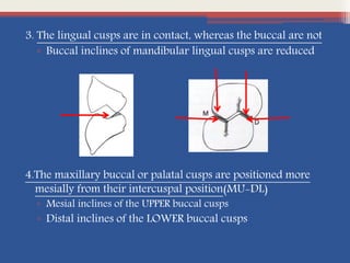 3. The lingual cusps are in contact, whereas the buccal are not
▫ Buccal inclines of mandibular lingual cusps are reduced
4.The maxillary buccal or palatal cusps are positioned more
mesially from their intercuspal position(MU-DL)
▫ Mesial inclines of the UPPER buccal cusps
▫ Distal inclines of the LOWER buccal cusps
 