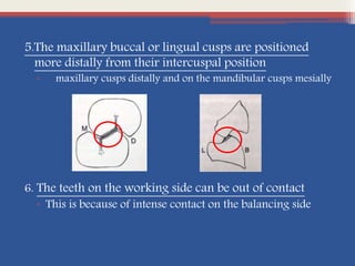 5.The maxillary buccal or lingual cusps are positioned
more distally from their intercuspal position
▫ maxillary cusps distally and on the mandibular cusps mesially
6. The teeth on the working side can be out of contact
▫ This is because of intense contact on the balancing side
 