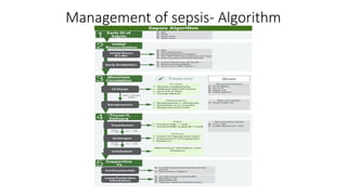 Sepsis Id Algorithm Clinical appearance in sepsis, definition of sepsis, clinical ...